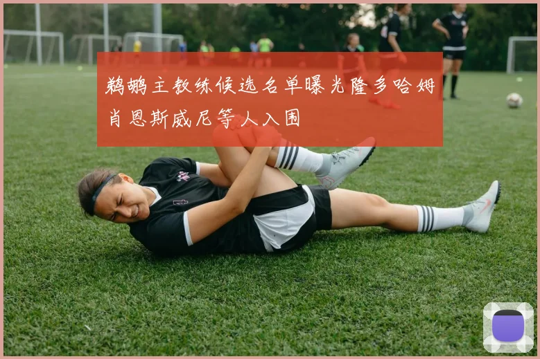 鹈鹕主教练候选名单曝光隆多哈姆肖恩斯威尼等人入围