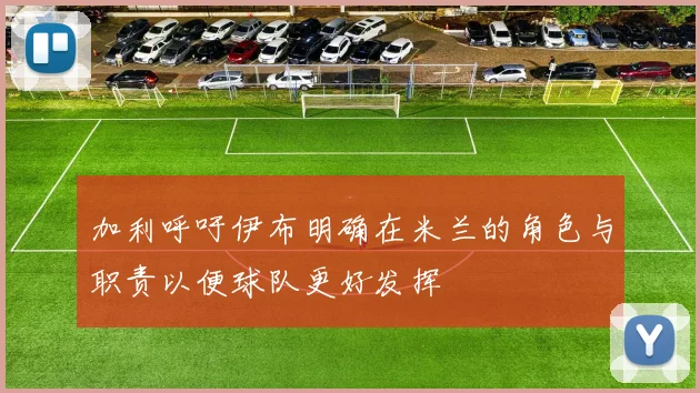 加利呼吁伊布明确在米兰的角色与职责以便球队更好发挥