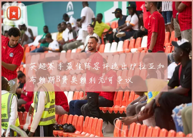 英超赛季最佳阵容评选出炉拉亚加布赖斯B费奥赖利无可争议